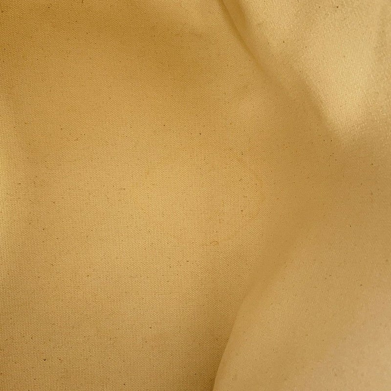 セリーヌ トートバッグ ホリゾンタルカバ 192162BNZ.02NT CELINE バッグ