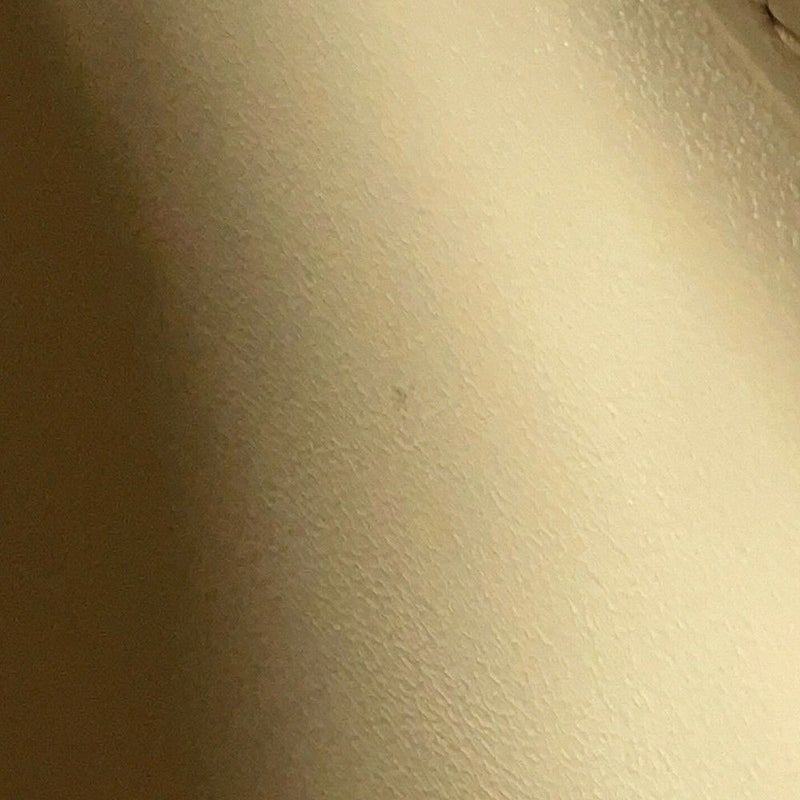 ヴァレクストラ ハンドバッグ イジィデ ミディアム WBES0056028LOC99PTG 2way レッド