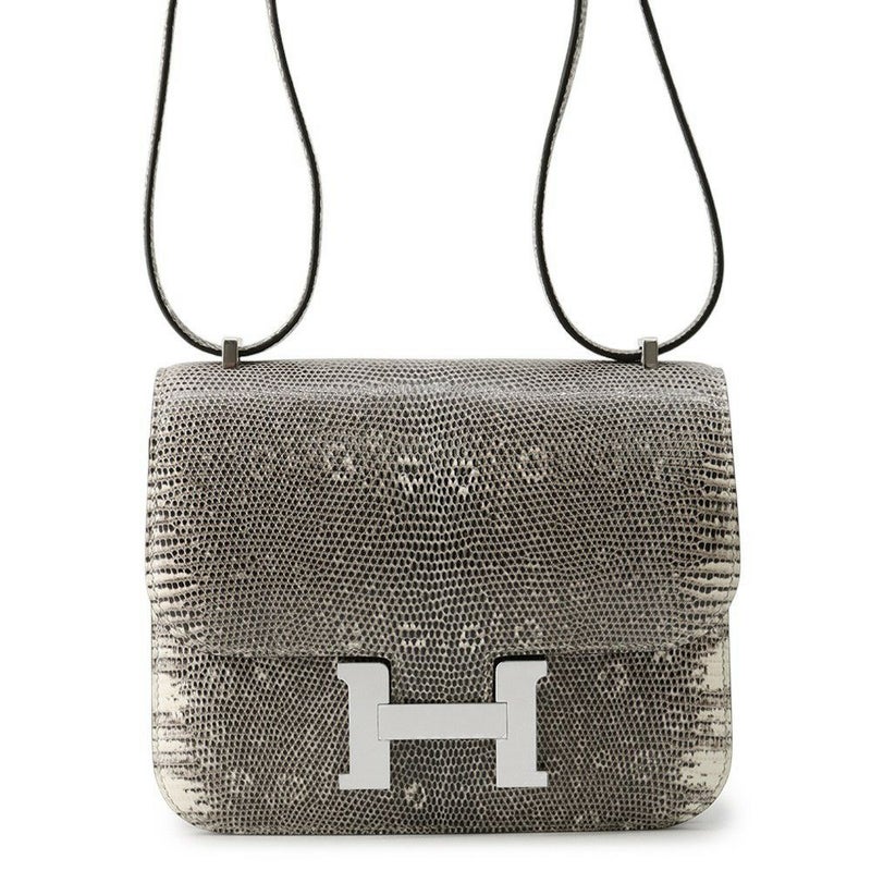 エルメス ミニ コンスタンス3 ミロワール オンブレ/シルバー金具 リザード K刻印