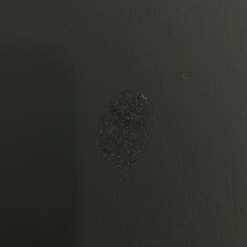 シャネル ハンドバッグ マトラッセ ココマーク トップハンドル スモール シャイニーラムスキン AS4023 2way