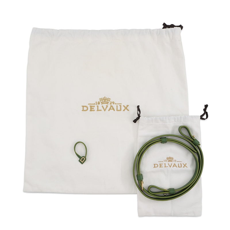 デルヴォー ハンドバッグ ブリヨン ミニ レザー Delvaux 2way デルボー