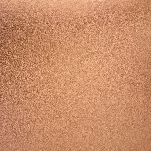 デルヴォー ハンドバッグ タンペートMM カーフレザー AA0368AAX024FDP Delvaux デルボー 2way