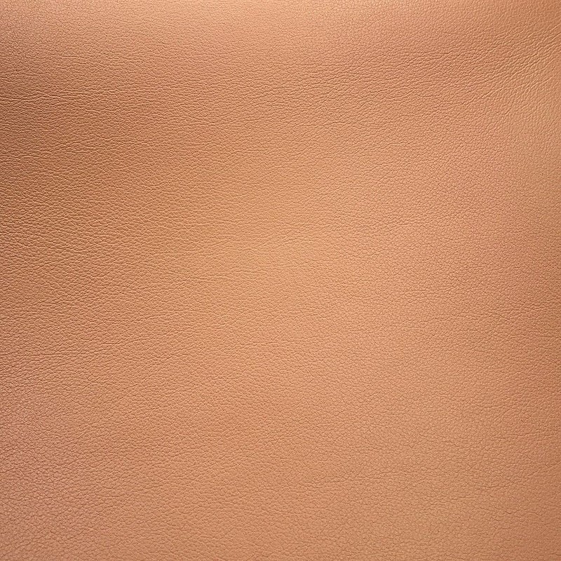 デルヴォー ハンドバッグ タンペートMM カーフレザー AA0368AAX024FDP Delvaux デルボー 2way